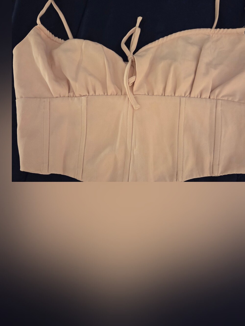 That's So Fetch Corset Bustier, Size 8